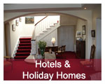 Hotels & Holiday Homes